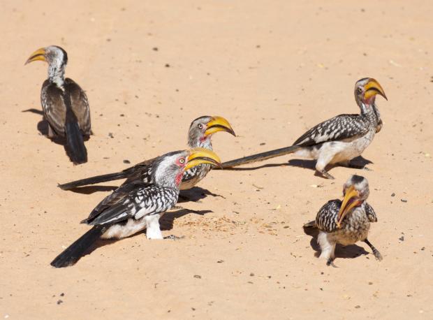 Motopi spooky DSC_0187 copy