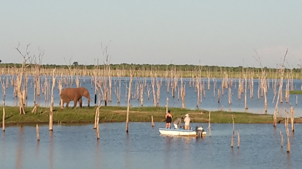 20180105_180236 copy