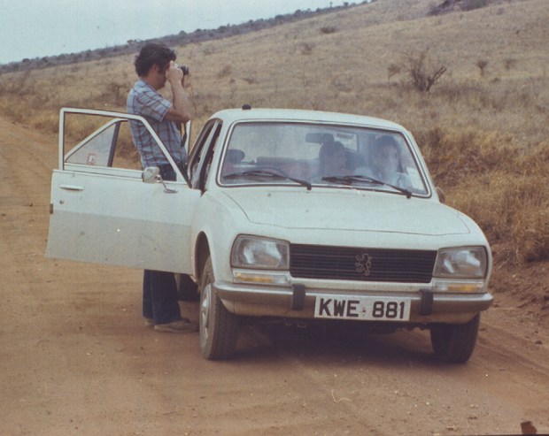 Simba's twin brother:sister? Mendizabal Tsavo copy