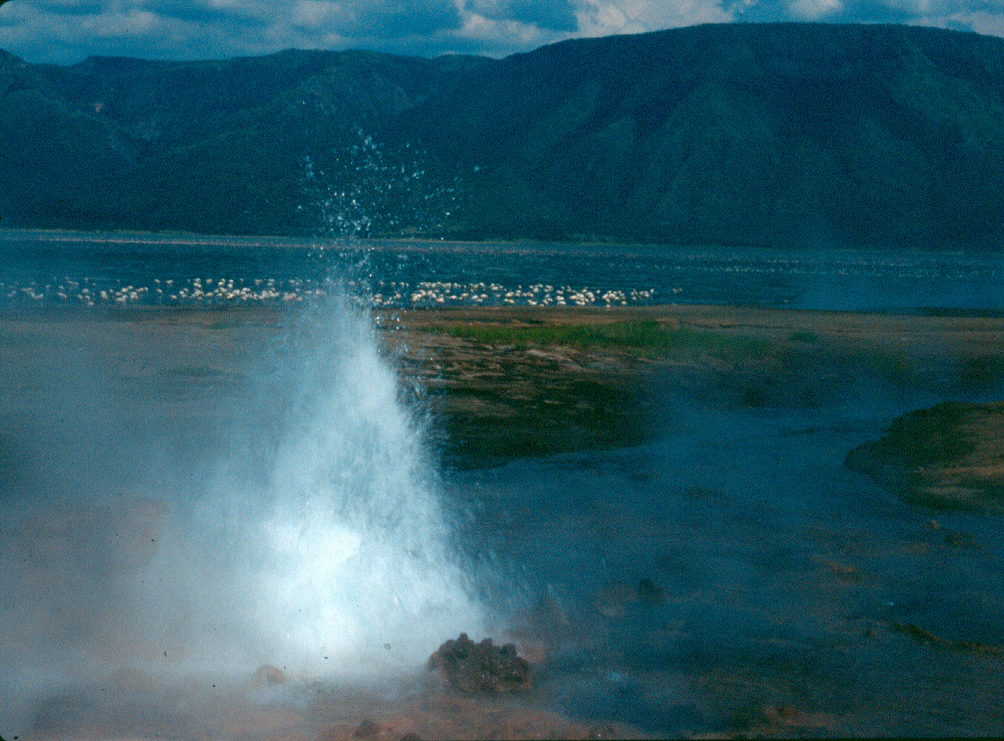 Bogoria hotsprings.tif 8.11.45 AM copy