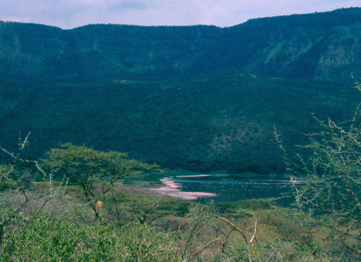 Bogoria view from distance 2.tif 5.30.23 PM 5.30.51 PM copy