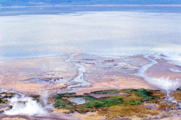 Bogoria view from top of circular rd.tif 1.23.58 PM copy