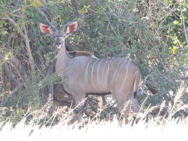 DSCN9925 6.17.49 PM 6.22.07 PM copy.jpg