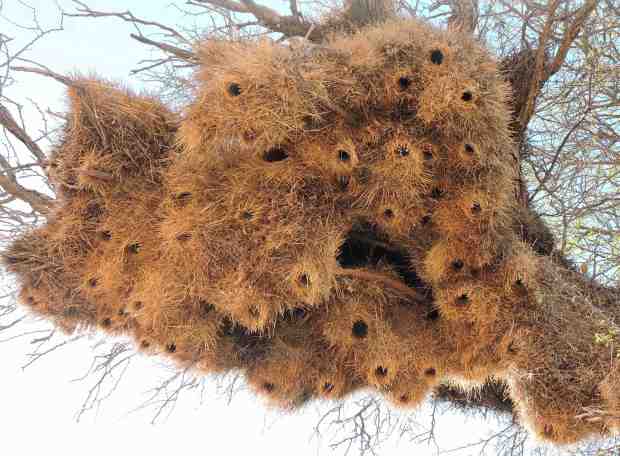 DSCN9963 6.43.06 PM copy