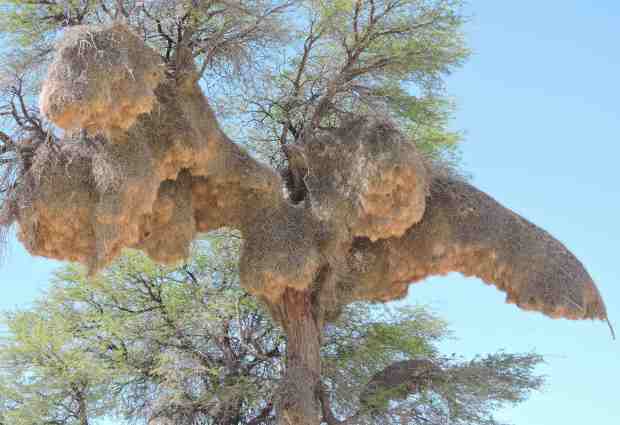 DSCN9988 6.32.31 PM copy