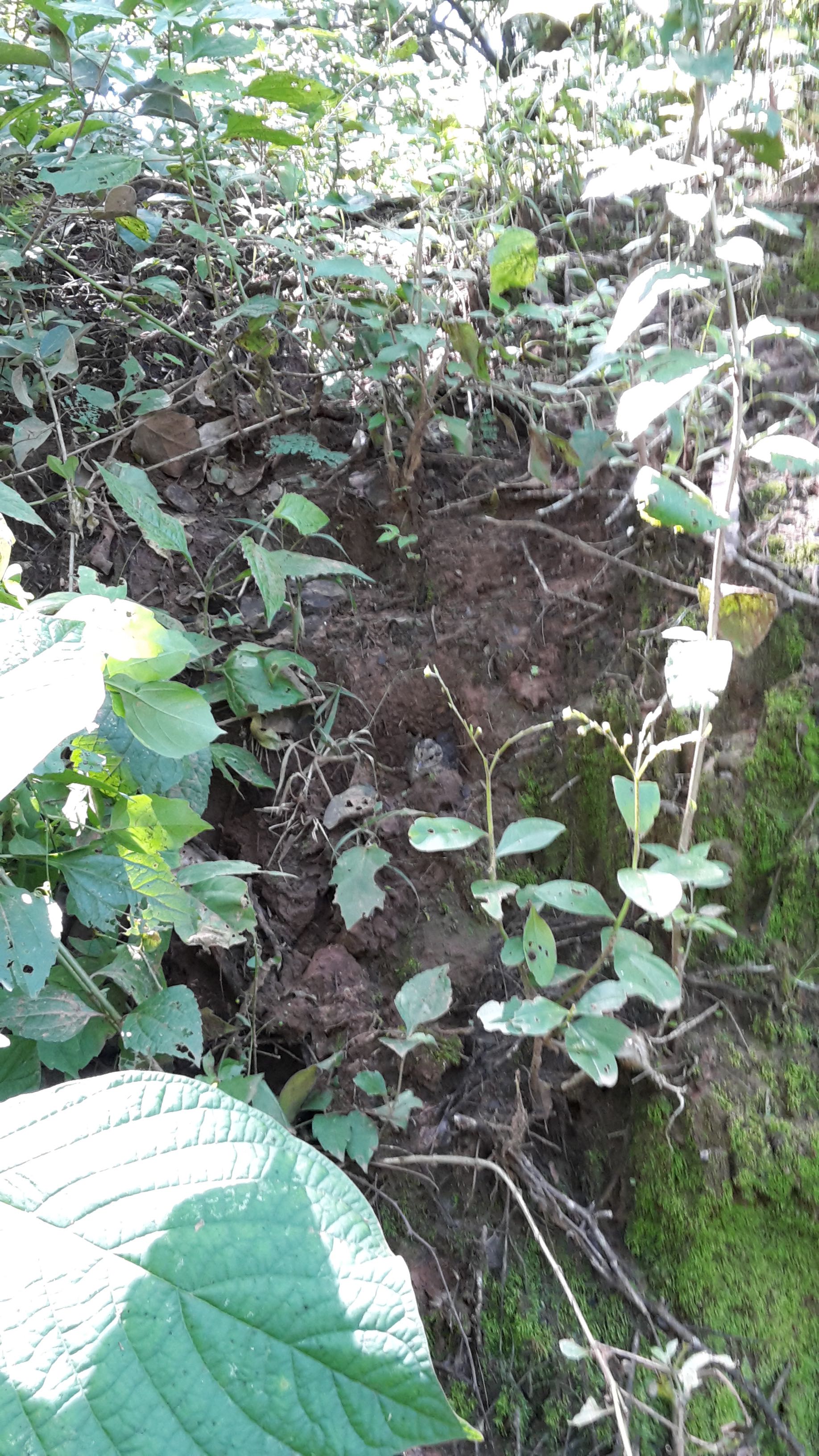 20180331_121041 copy