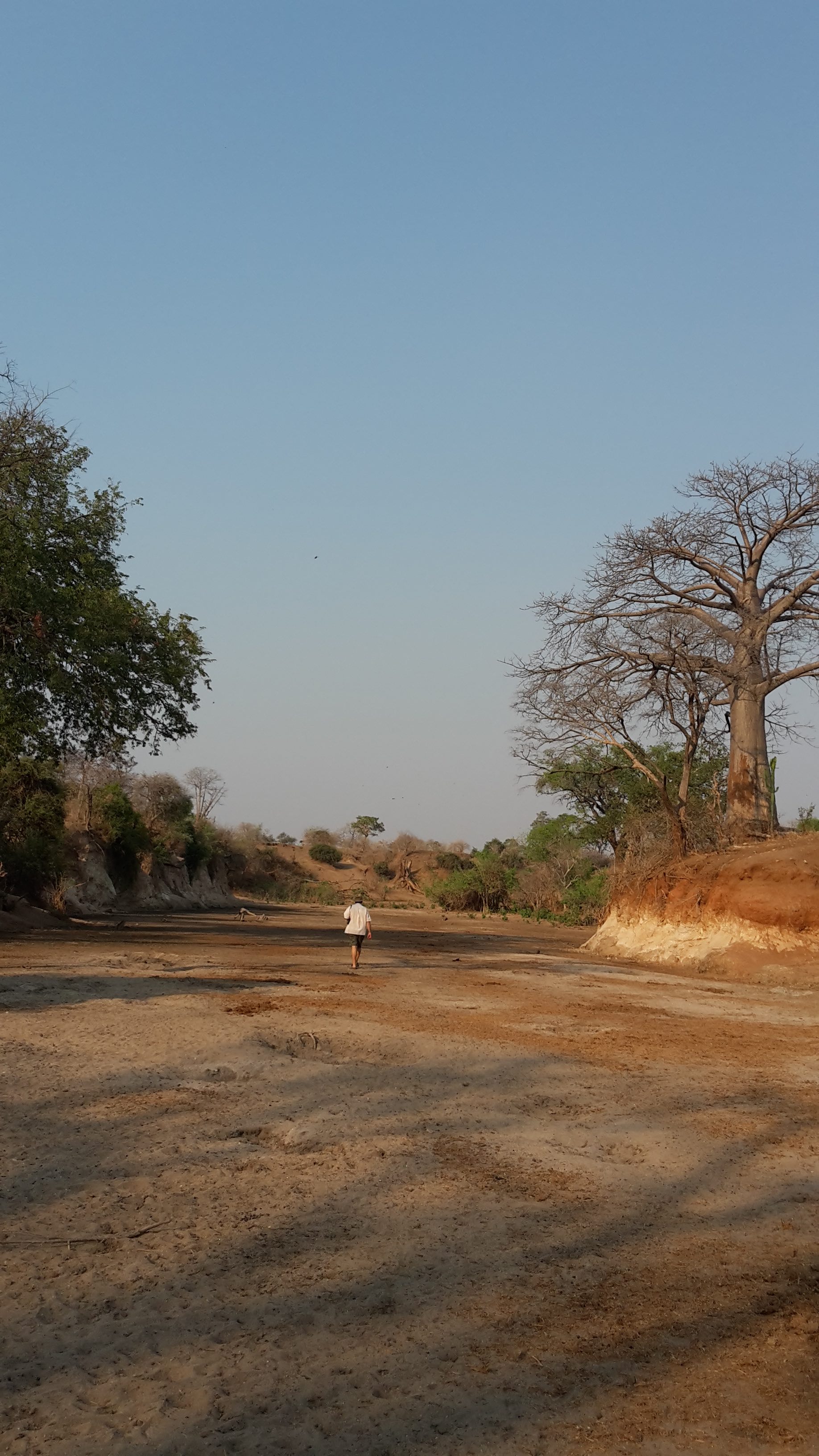 20180915_161445 copy