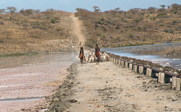 Maasai Magadi causeway.tif