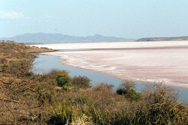 magadi 1