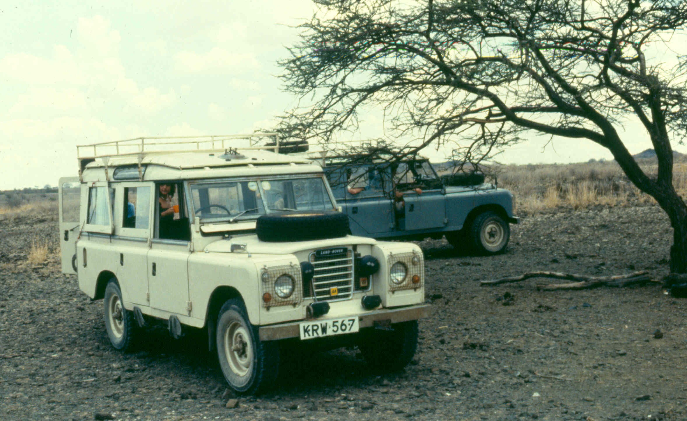 Magadi tony and bock LRs