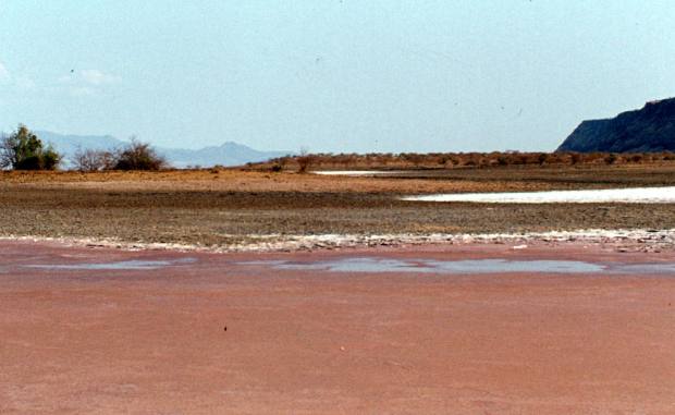 magadi