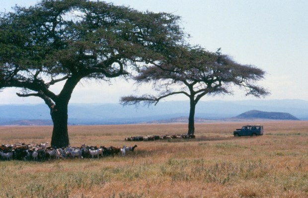 Picnic Narok rd copy