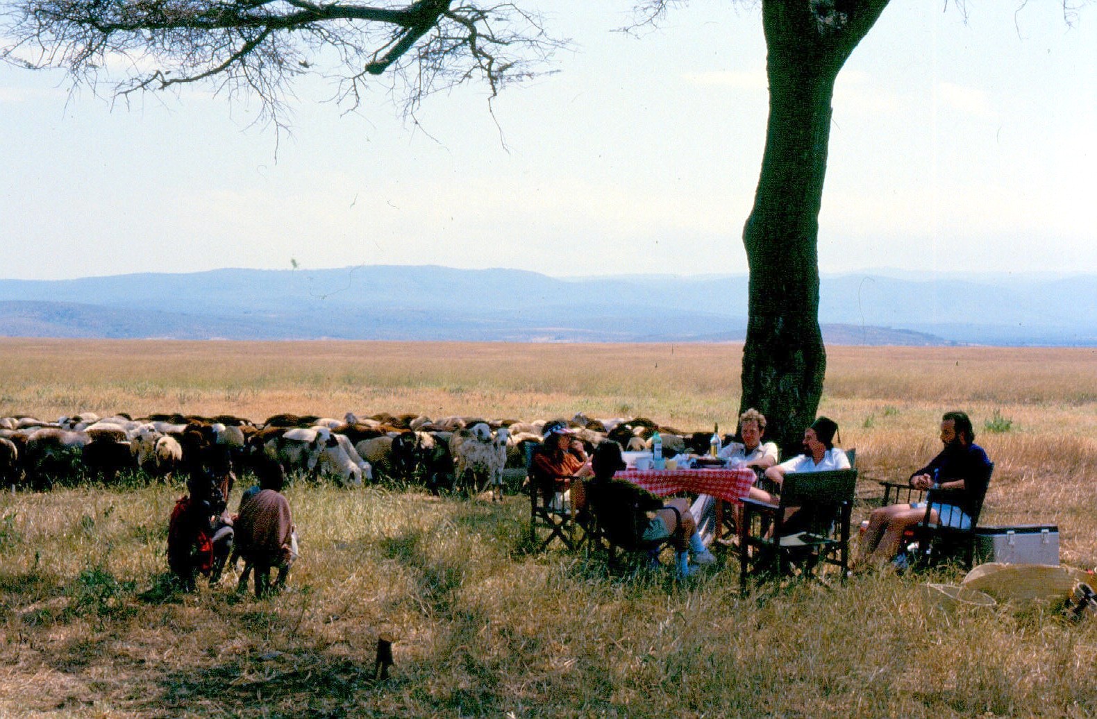 rift valley picnic 1 2