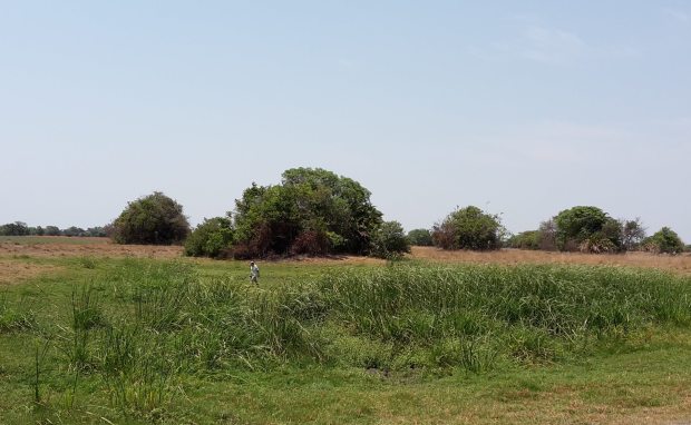 20181009_103523 copy