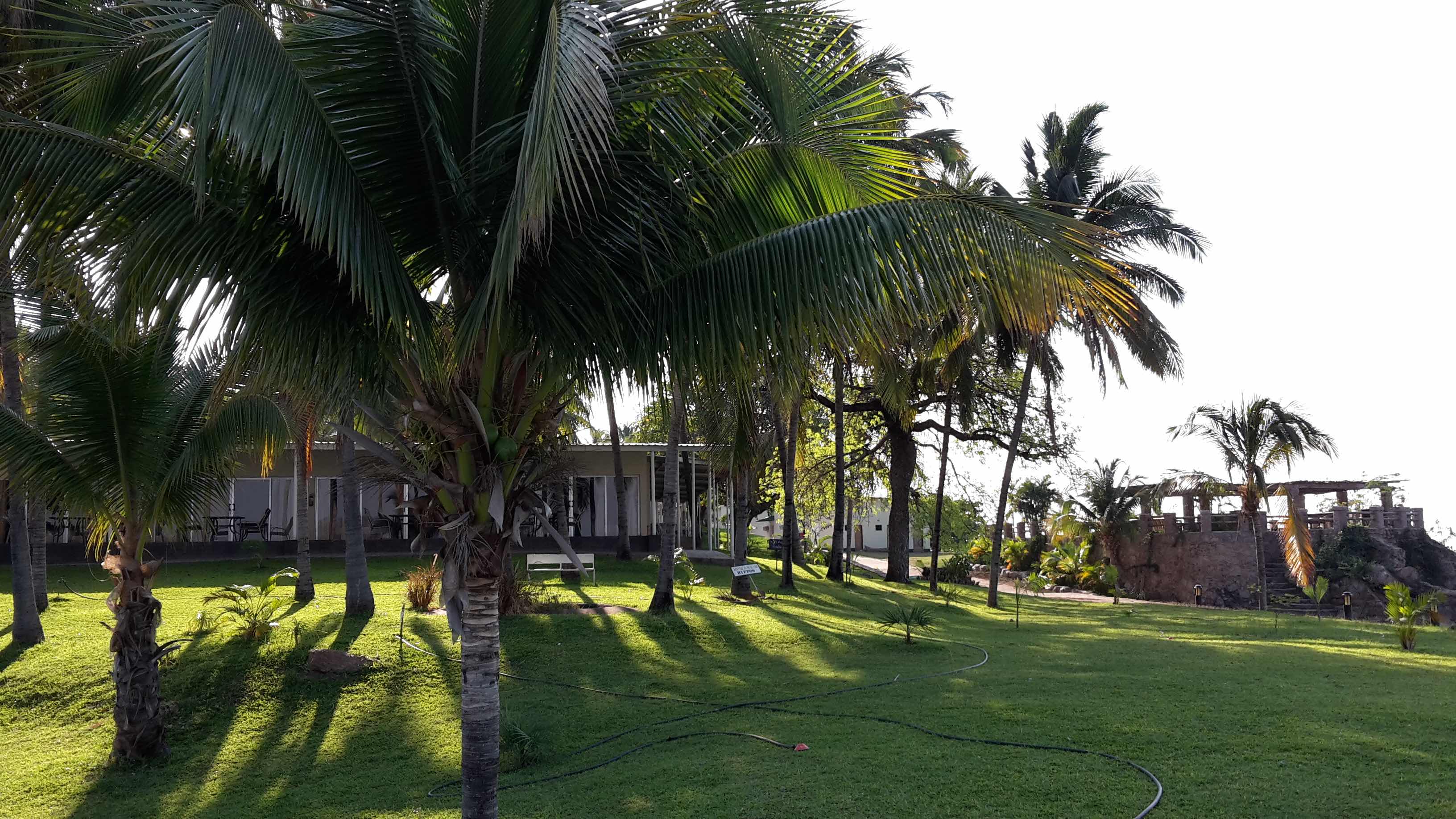 MC 20181004_074300 copy