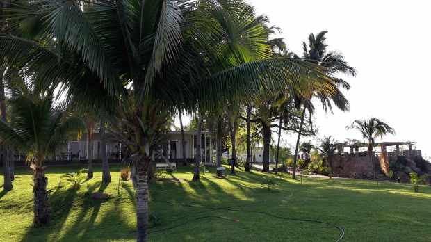 MC 20181004_074300 copy