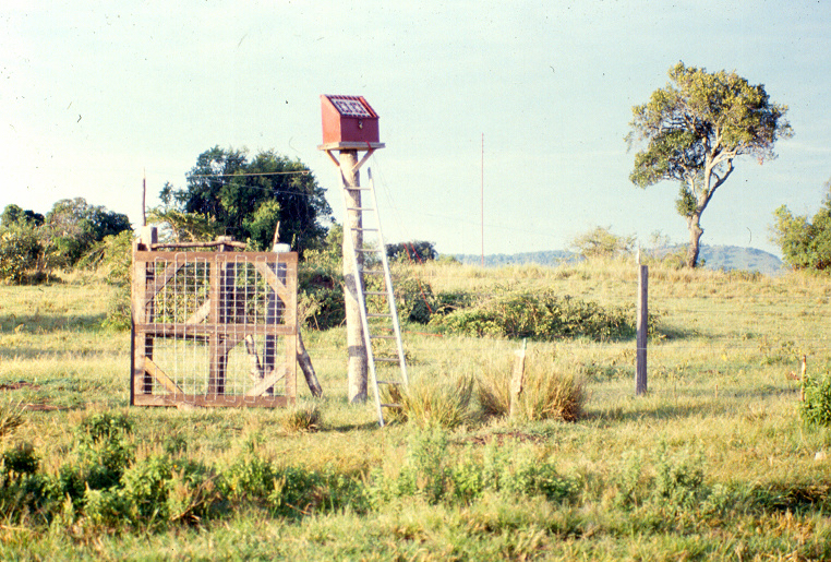 Solar powered fence.tif copy