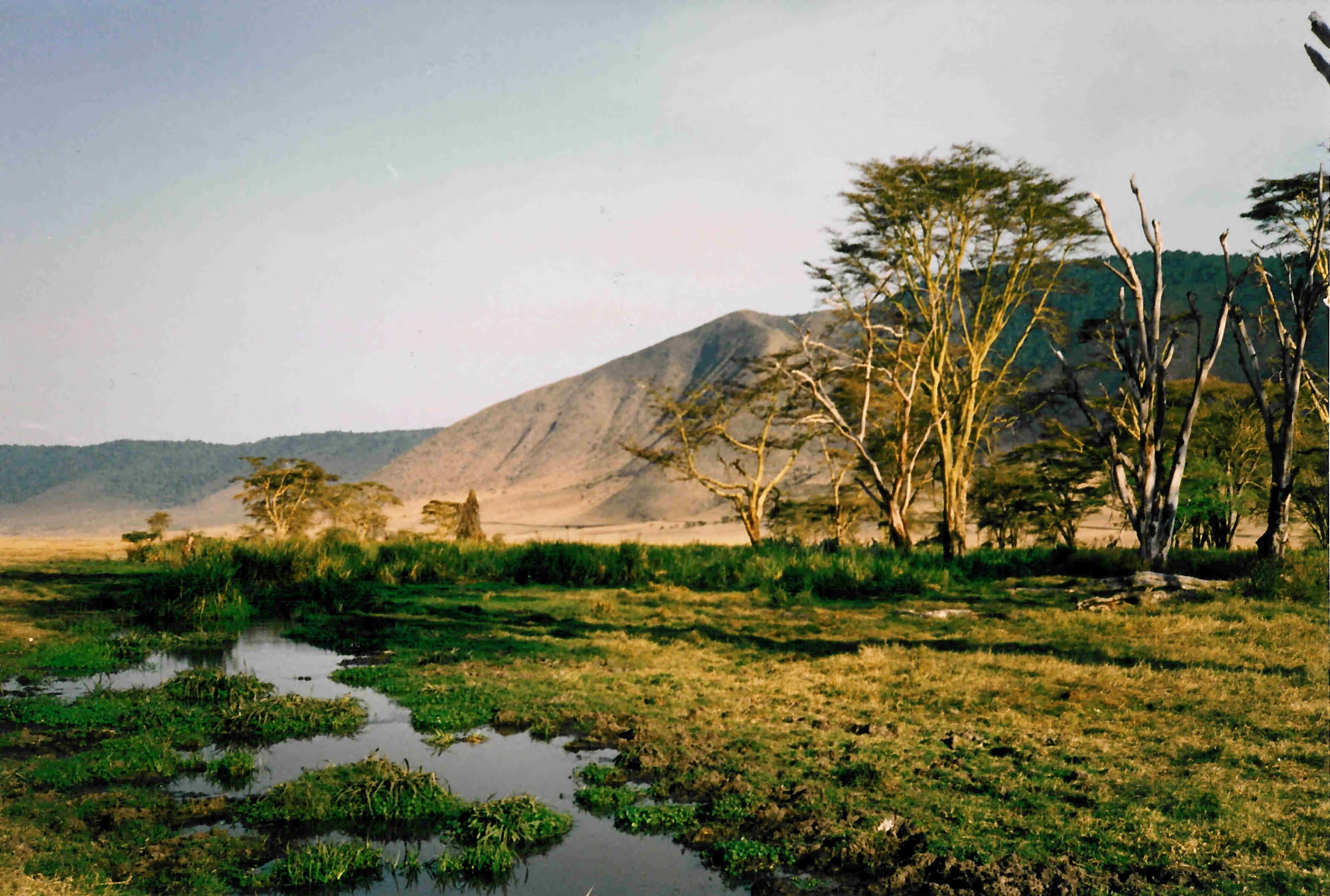 13-TZNgorongoroCrater88 copy