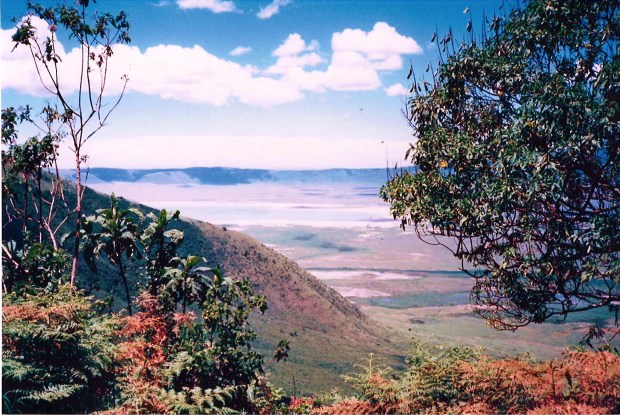 15-TZCraterUp88mum copy