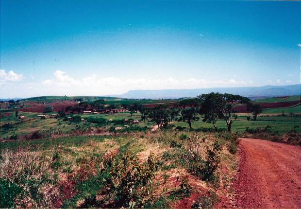 17-TZTowardsManyara88mum-2