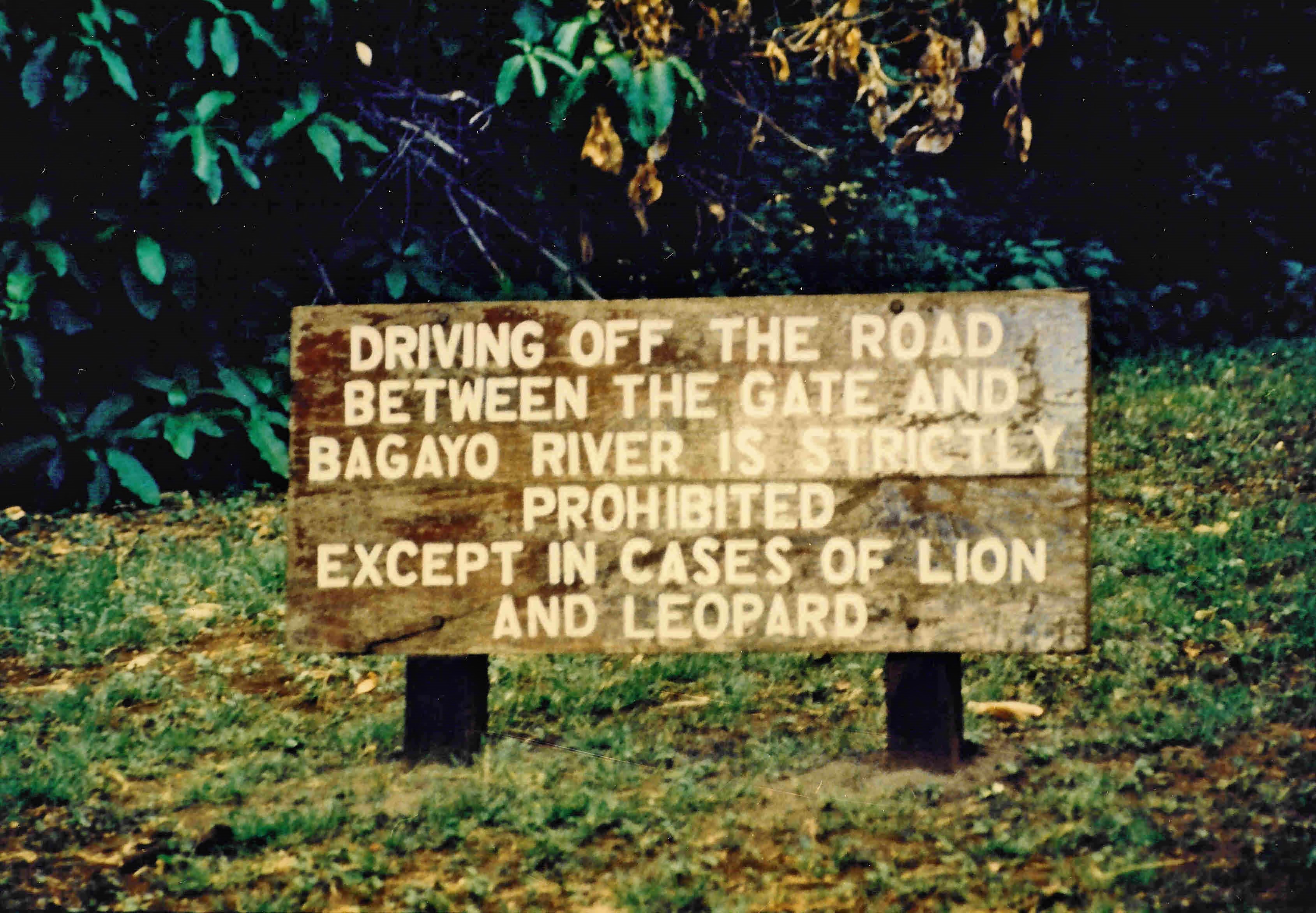 18-TZboard88-JJ copy