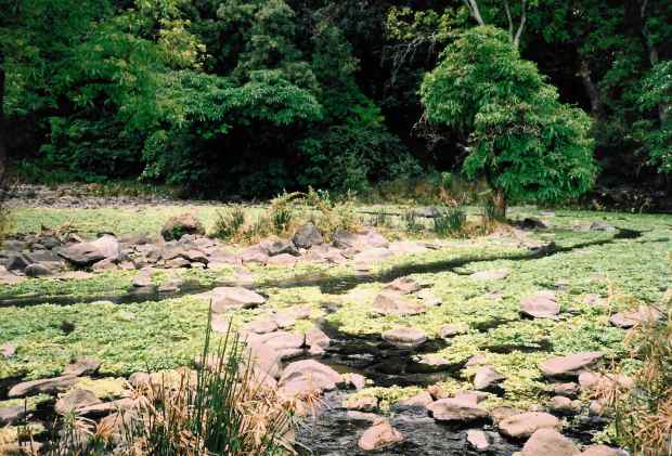 19-TZManyaraSprings88 copy