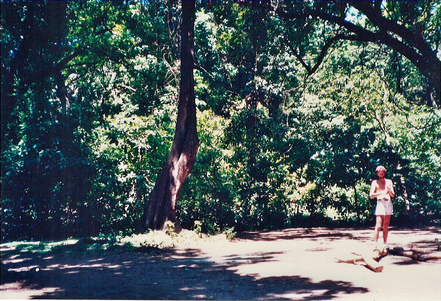 23-TZManyaraFrançois88mum copy