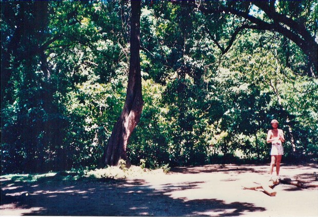 23-TZManyaraFrançois88mum copy