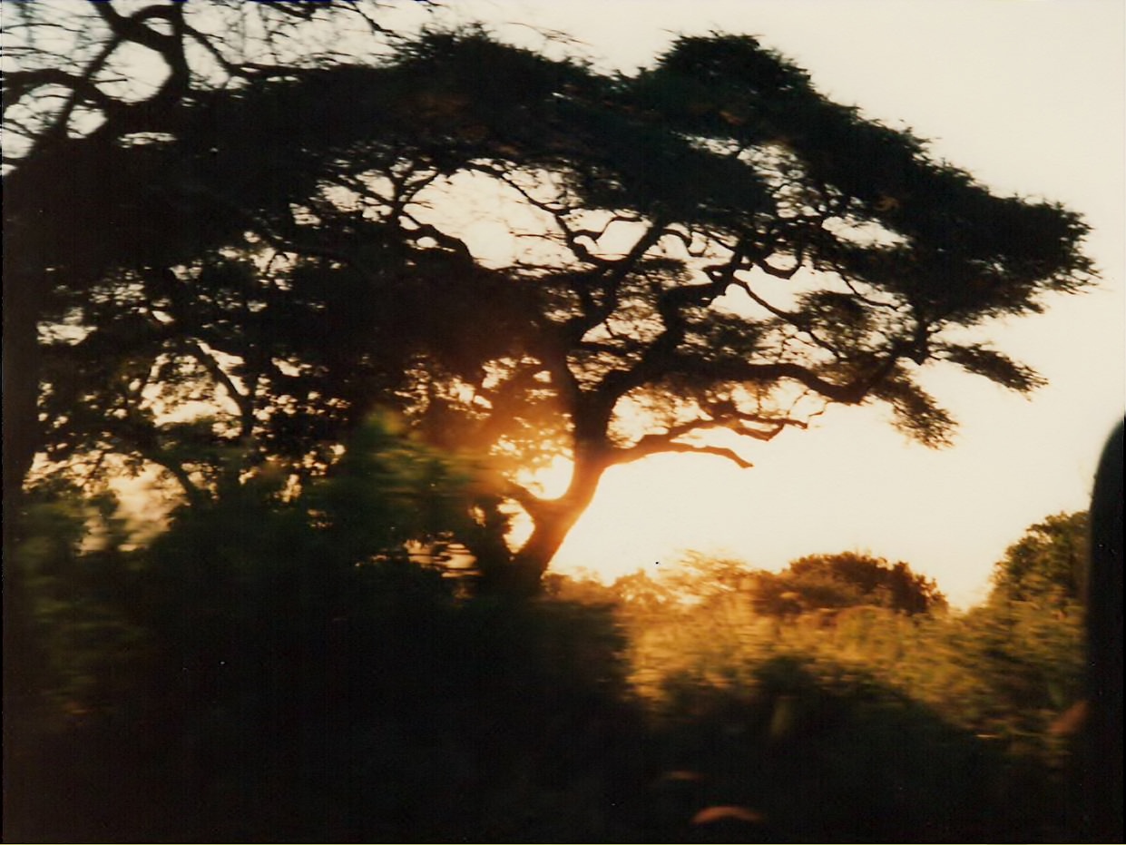 26 TzManyaraSunset88-3