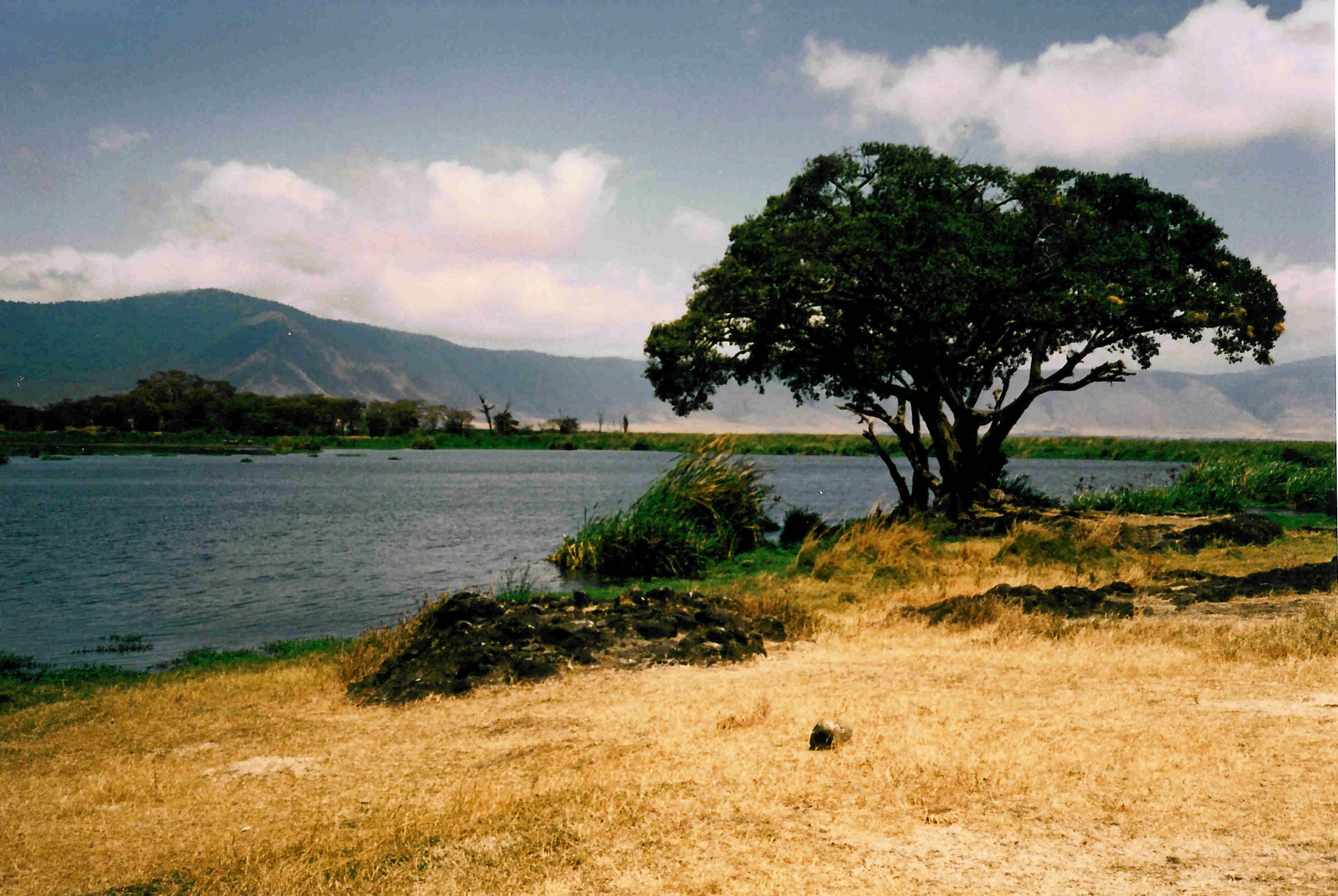 9-TZNgorongoroLake88 copy