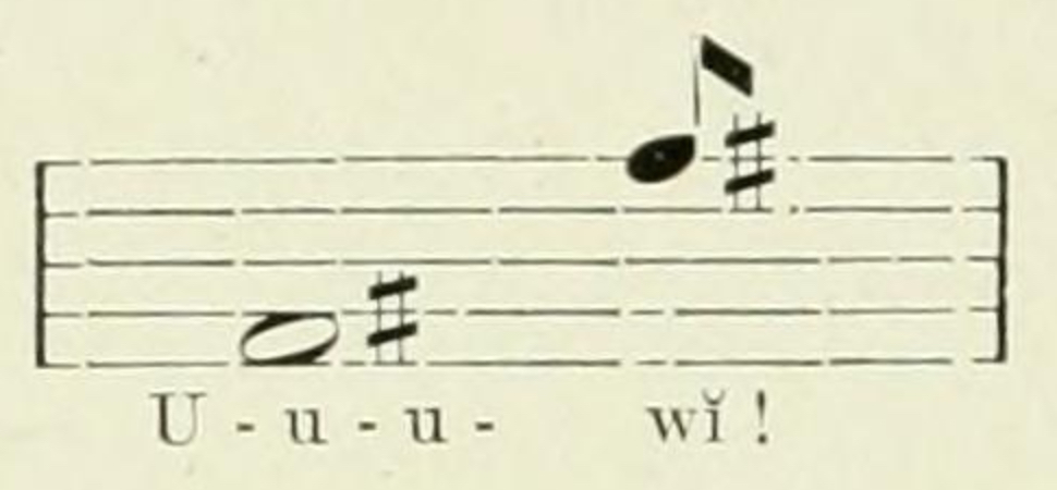 Crocuta_crocuta_whoop_notation copy By Johnston, Harry Hamilton, Sir, 1858-1927 - The Uganda protectorate, Public Domain, https-::commons.wikimedia.org:w:index.php?curid=23401588
