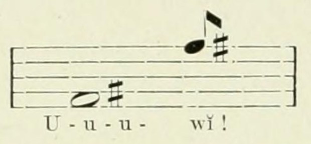 Crocuta_crocuta_whoop_notation copy By Johnston, Harry Hamilton, Sir, 1858-1927 - The Uganda protectorate, Public Domain, https-::commons.wikimedia.org:w:index.php?curid=23401588