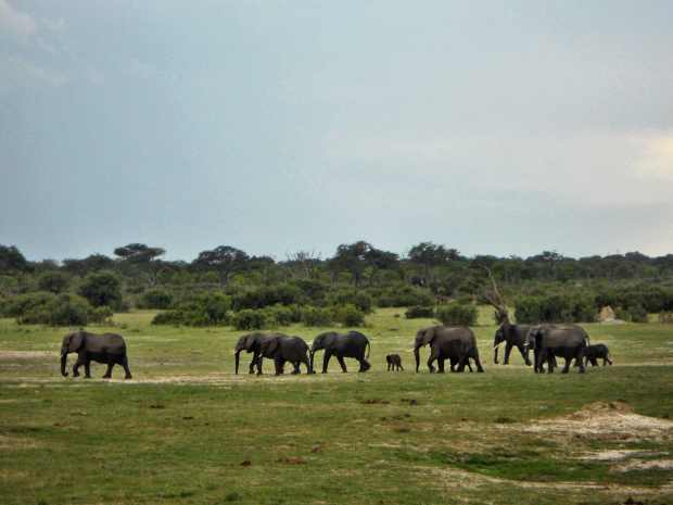 DSCN3918 11.23.28 AM copy