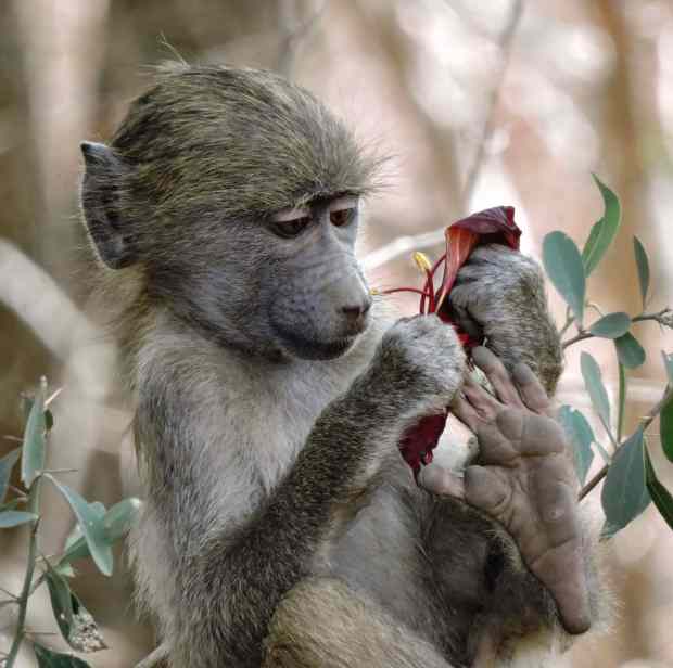 DSCN9981 6.57.00 PM copy