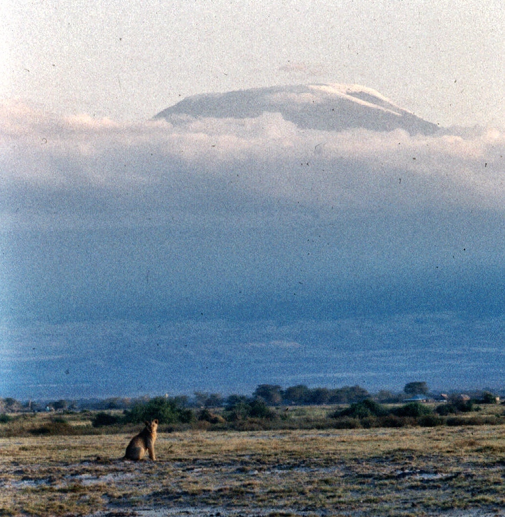 amboseli 2