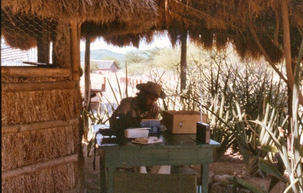 jj writing phd bushwhakers