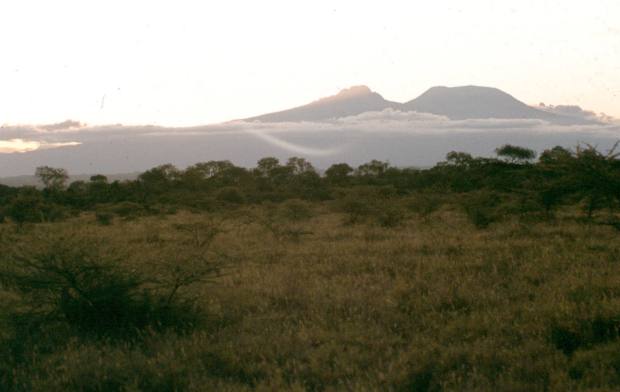 oligorsalie kili 1 2