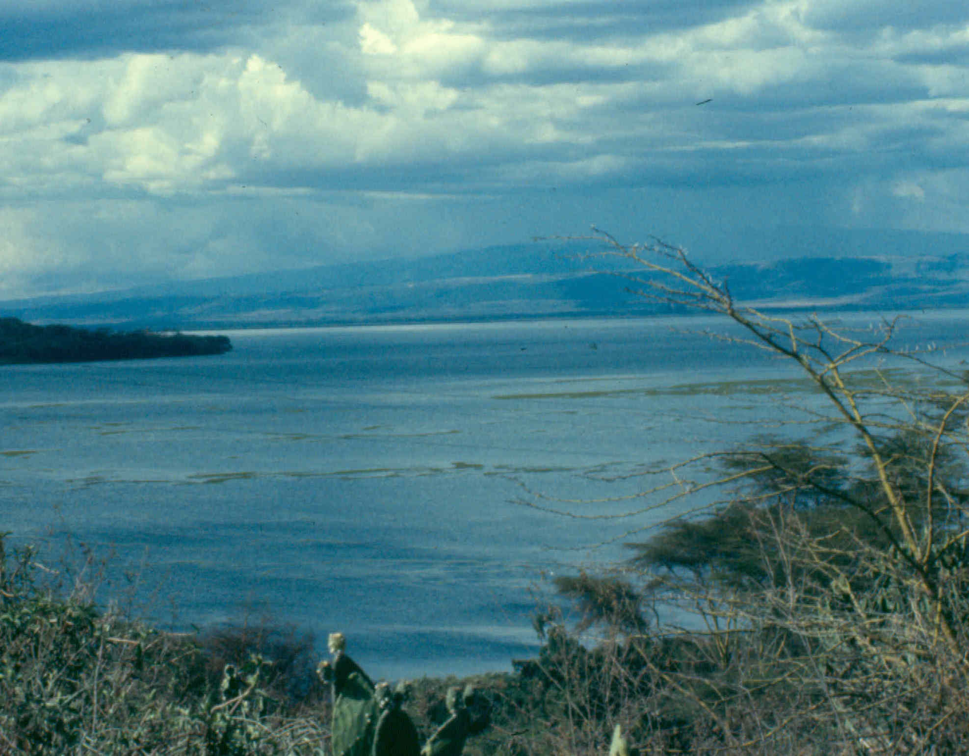 naivasha