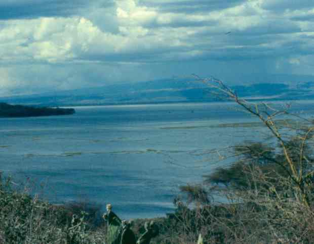 naivasha