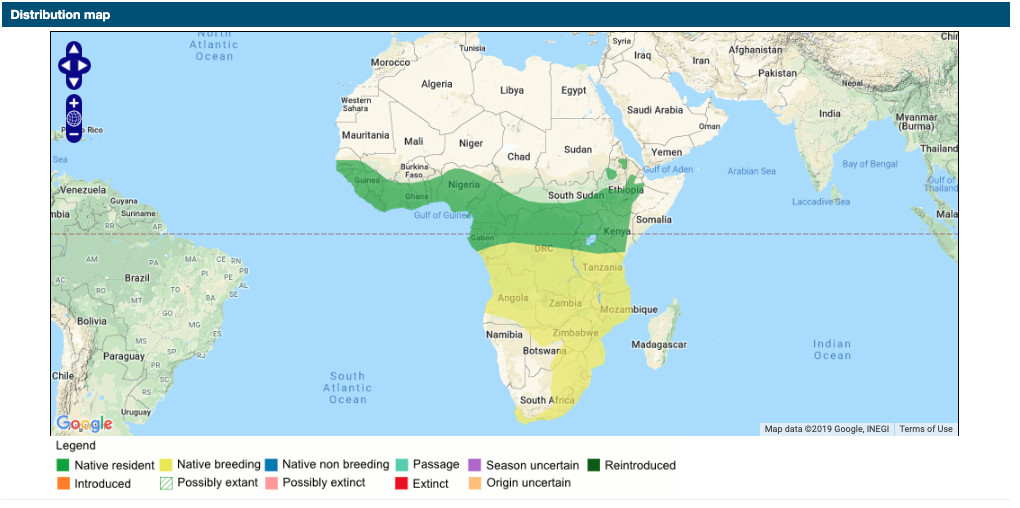 Screenshot 2019-11-02 at 10.22.38