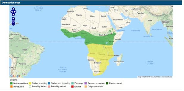 Screenshot 2019-11-02 at 10.22.38