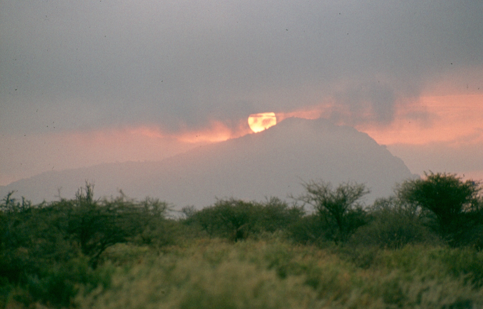 Sunset Tsavo W like fire copy