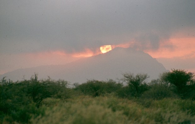 Sunset Tsavo W like fire copy