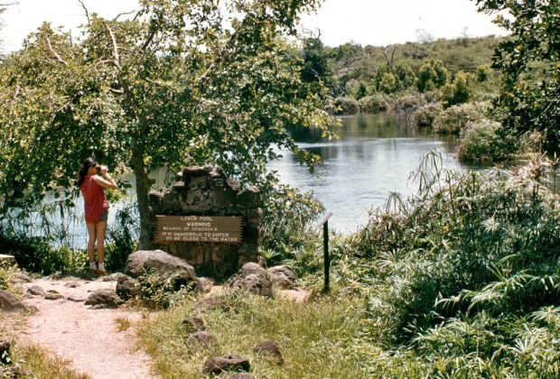 tsavo w mzima springs 2 copy