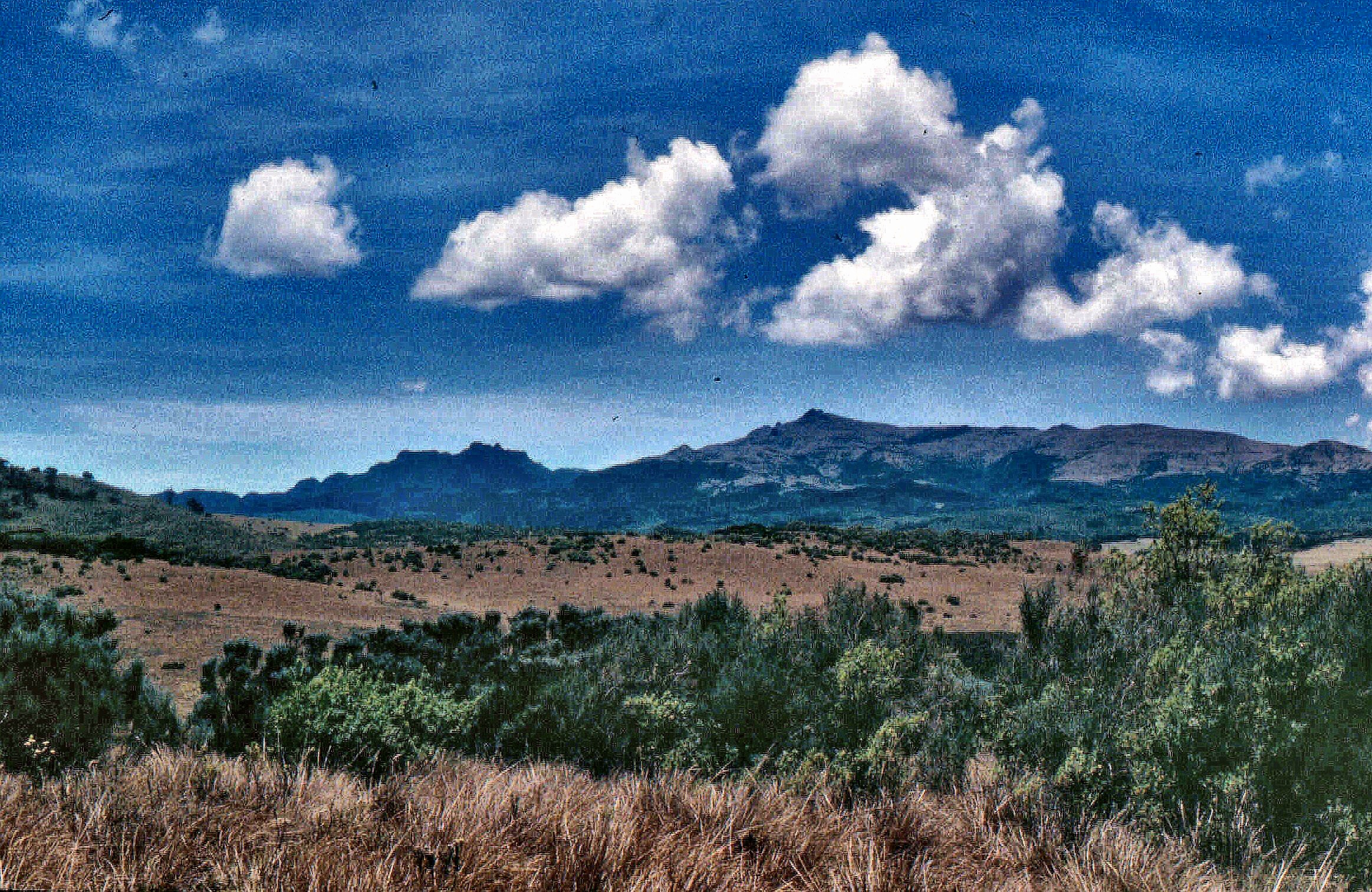 Aberdares 2 5.32.37 PM-001 copy