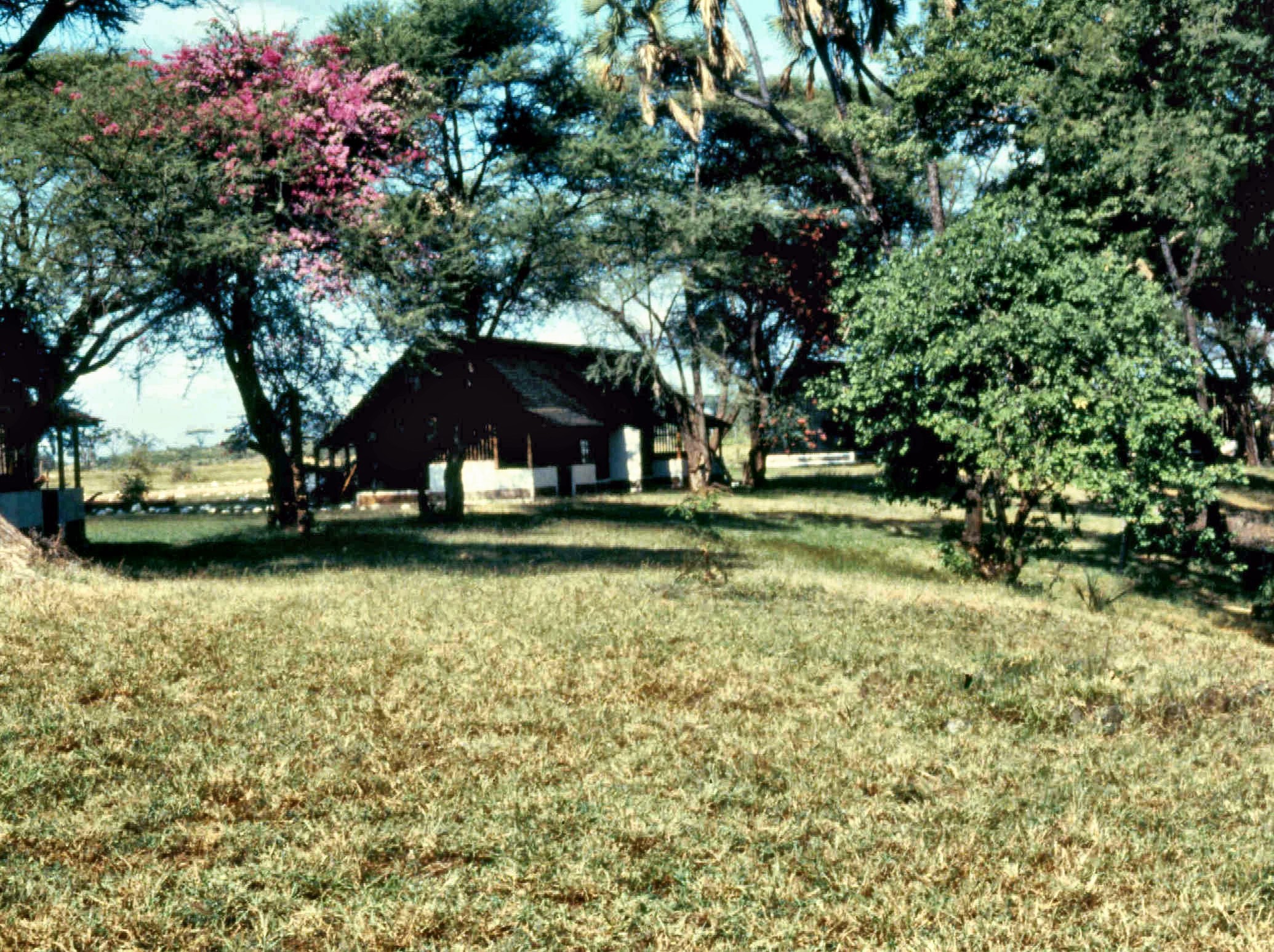 meru np leopard rock lodge copy
