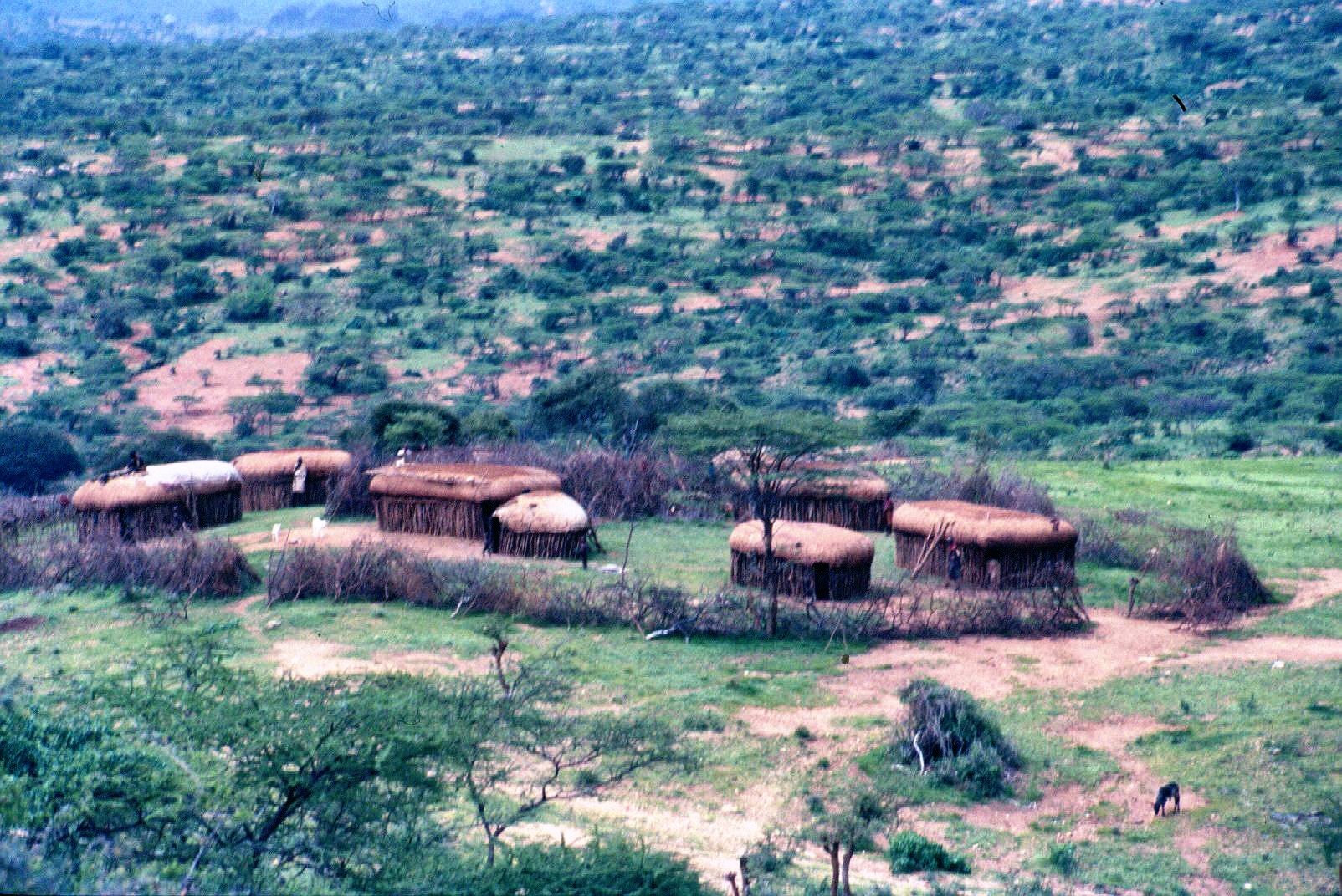 LEAD Technologies Inc. V1.01