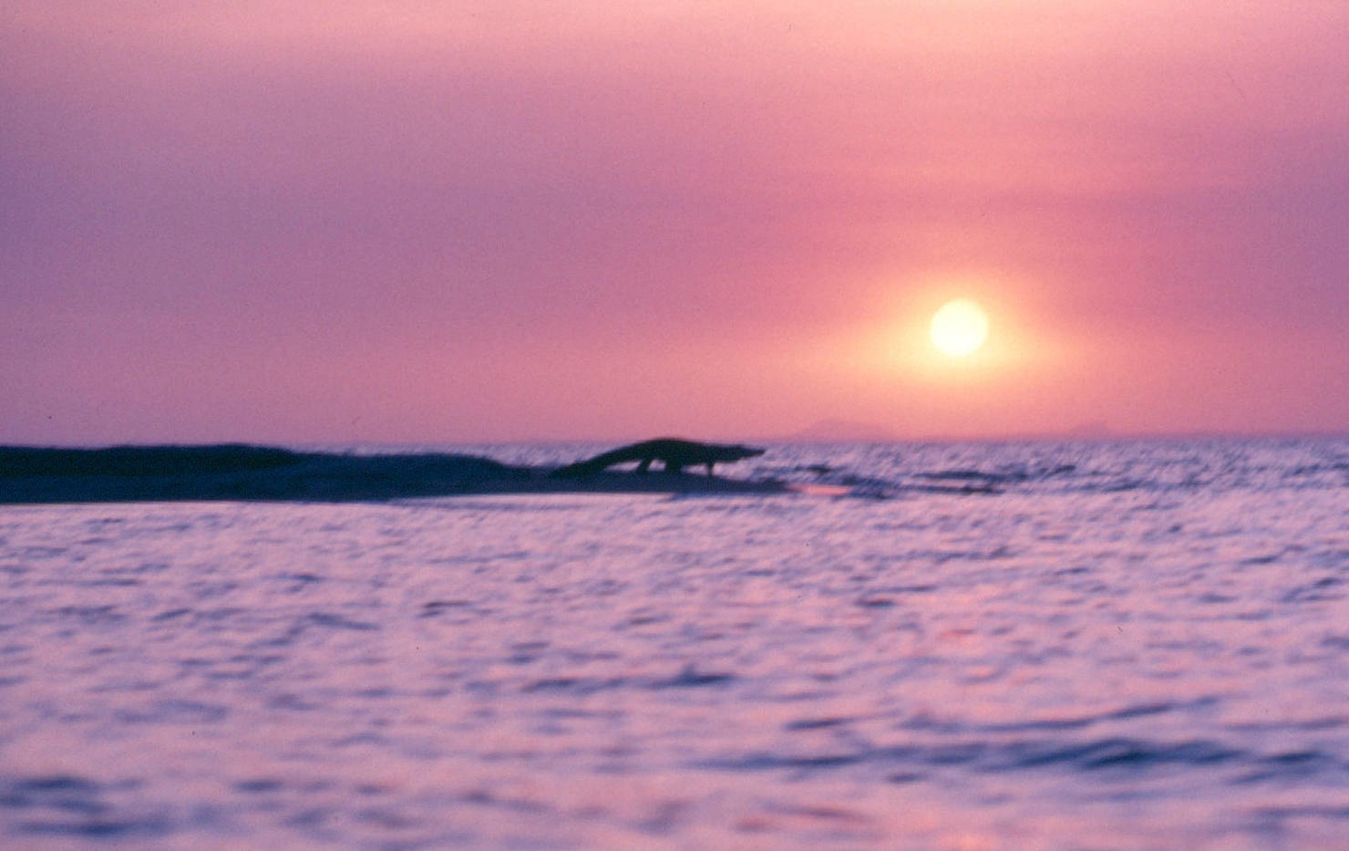 turkana sunset in k fora croc.jpg
