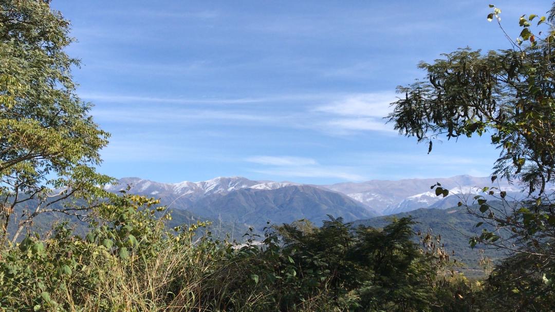 ff1c1de2-31cb-4269-92f0-b5f5b323bc26